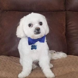 Meet your Posher, Barbara